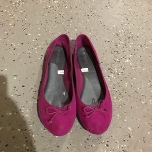 Beautiful purple flat